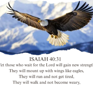 Isaiah 40:31 Black Full Verse