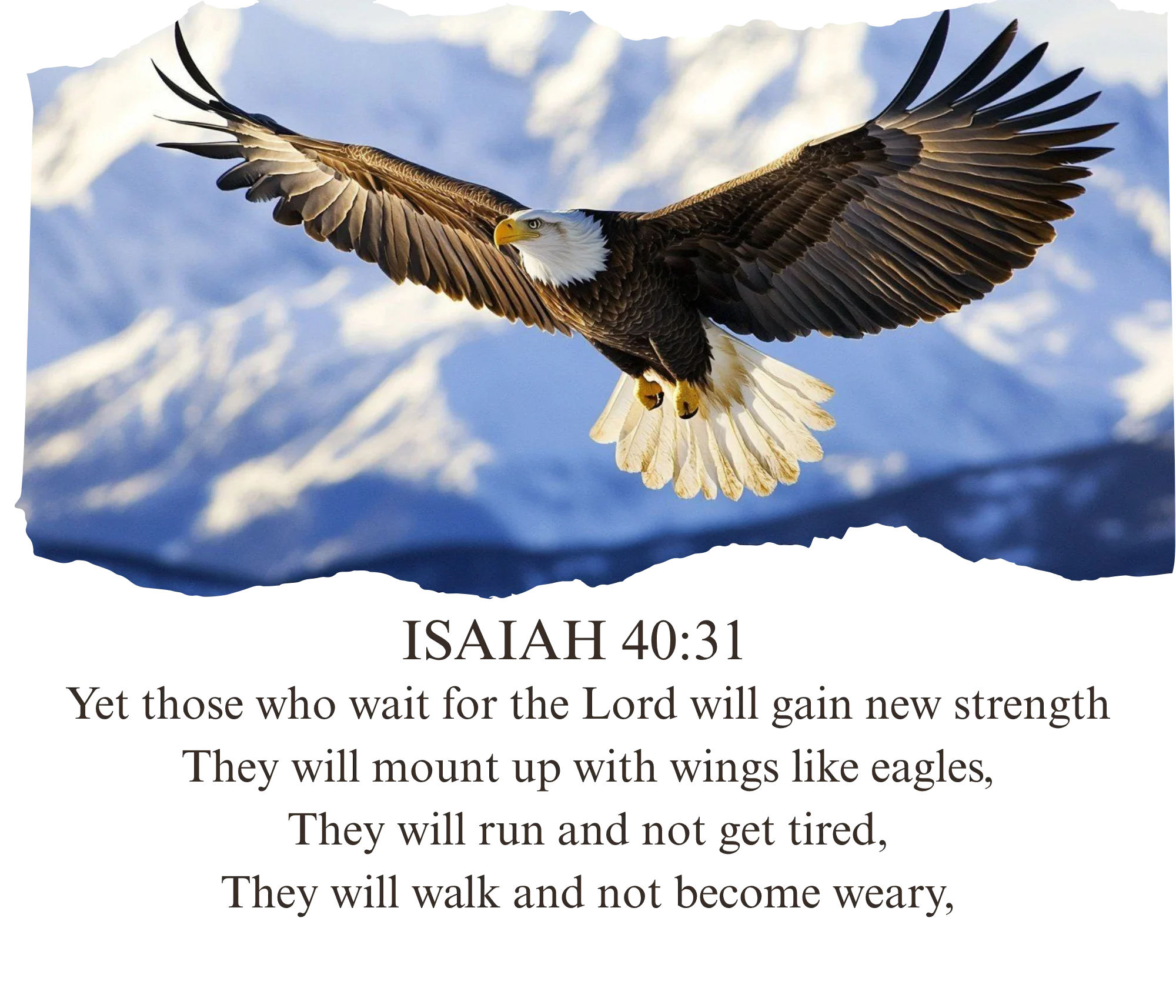 Isaiah 40:31 Black Full Verse