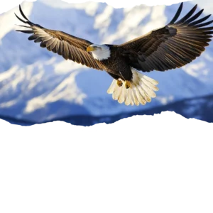 Isaiah 40:31 White Full Verse
