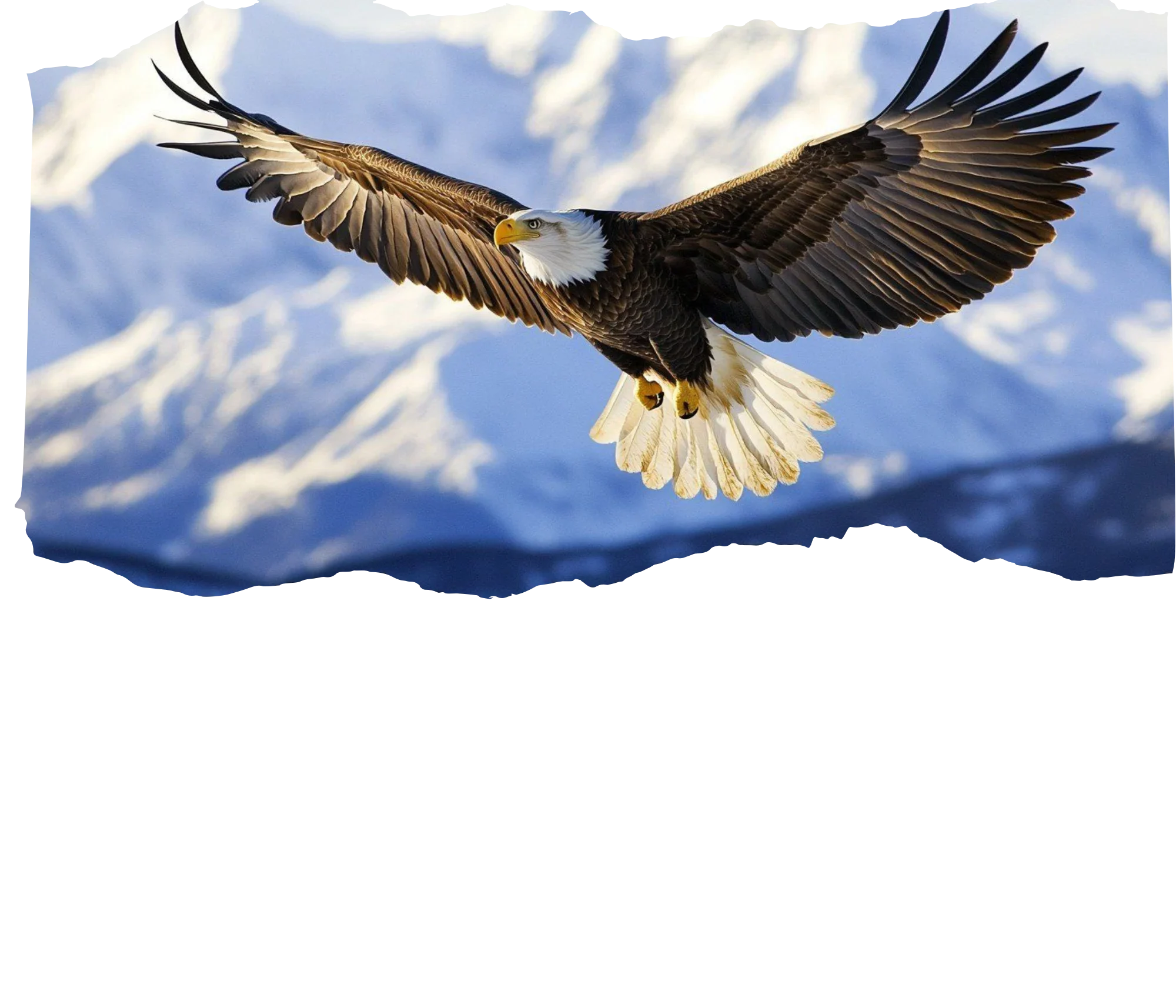 Isaiah 40:31 White Full Verse