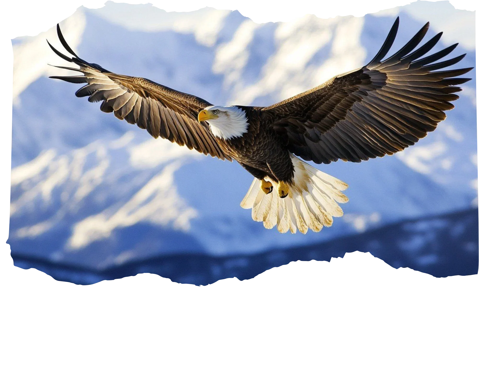 Isaiah 40:31 White no verse